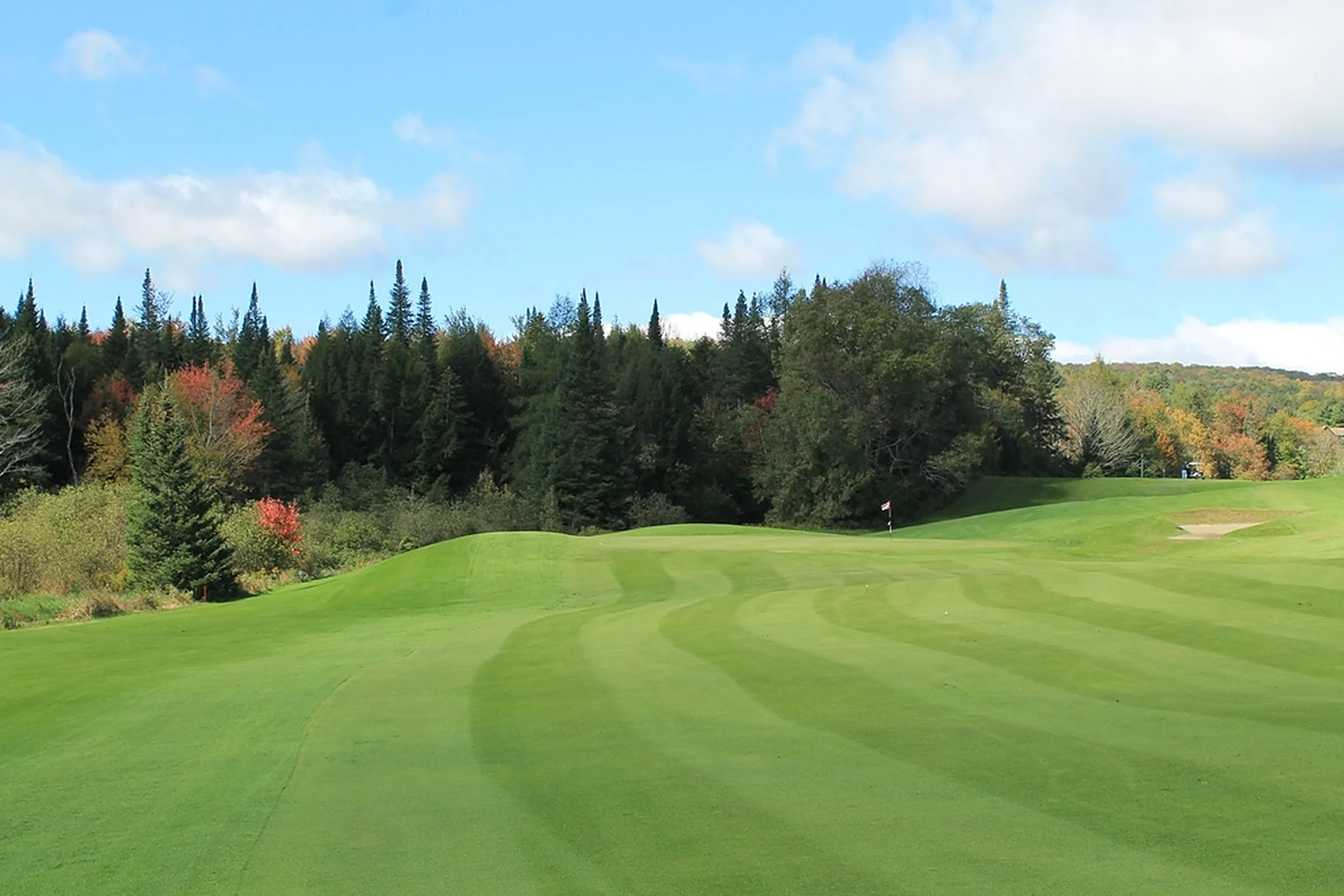 A striped fairway lined with pines under a wide blue sky